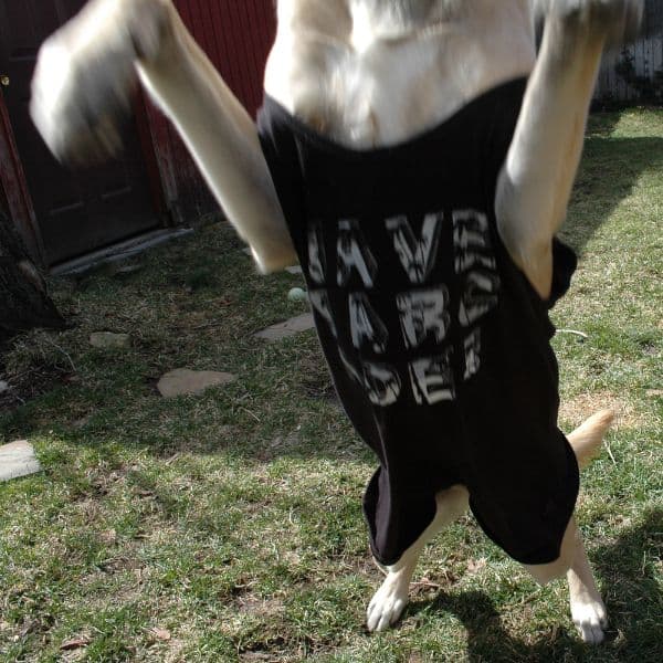 Wave Arcade graphic tees